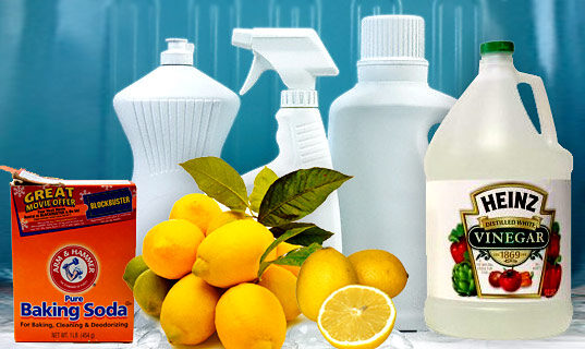 A Quest For Organic Cleaners
